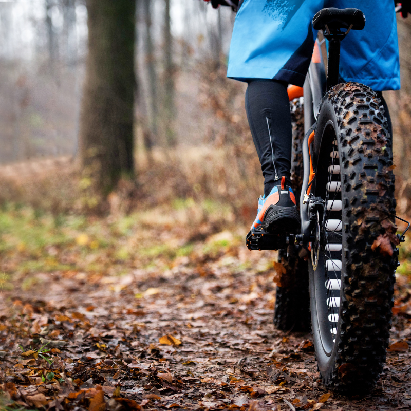 Fat Tire Electric Bikes