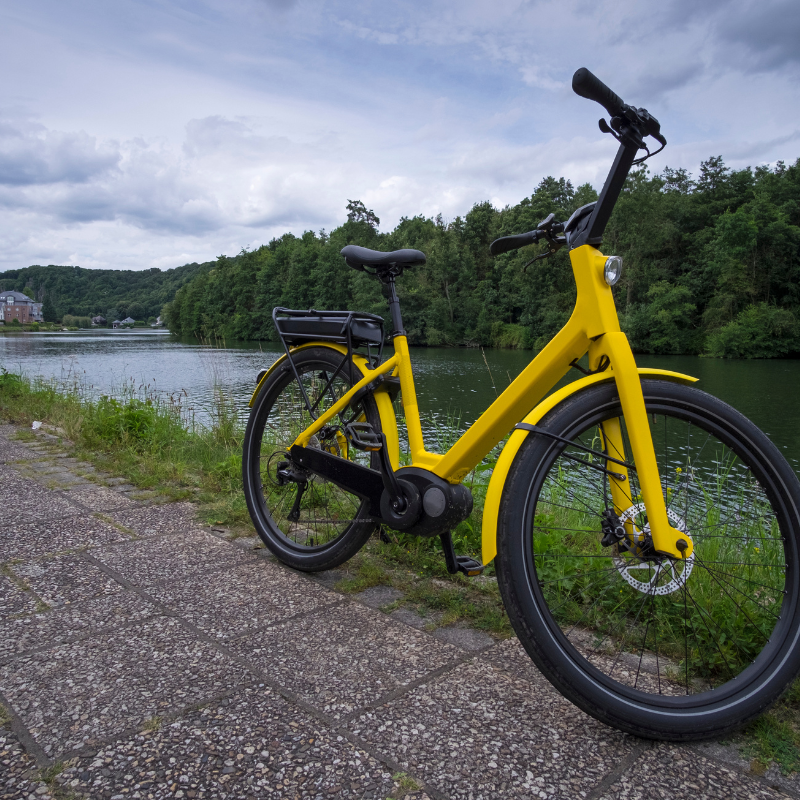 Step-Thru Electric Bikes