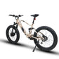 DEFENDER-S Fat Tire Electric Bike - Goody's Electric Bikes