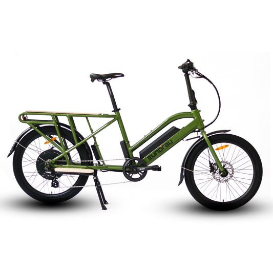 MAX-CARGO Electric Bike