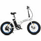 36v Folding Fat Tire Electric Bike