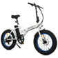 36v Folding Fat Tire Electric Bike