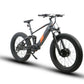 DEFENDER-S Fat Tire Electric Bike