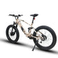 DEFENDER-S Fat Tire Electric Bike