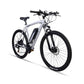 eTRAIL HT350 Electric Mountain Bike - Silver